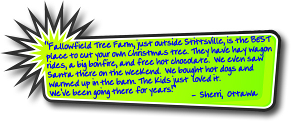 Fallowfield Tree Farm Christmas tree testimonial -