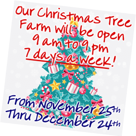 Graphic image of a decorated Christmas tree announcing Fallowfield Christmas Tree Farm will be open for 9 to 9, 7 days a week through Christmas Eve
