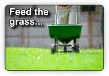 Photo of a person using a fertilizer spreader to ensure the newly-laid sod get the proper  necessary nutrients