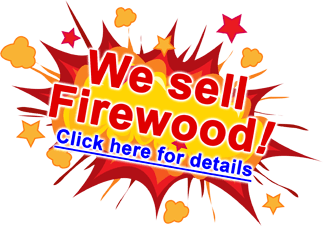 Star-burst graphic with a headline that read "We sell Firewood!" announcing that Fallowfield Tree Farm now offers firewood for sale - call 613.720.3451