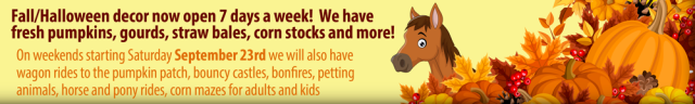 On weekends starting Saturday September 23rd we will also have wagon rides to the pumpkin patch, bouncy castles, bonfires, petting animals, horse and pony rides, corn mazes for adults and kids 