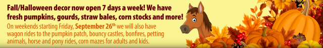 On weekends starting Friday, September 26th we will also have wagon rides to the pumpkin patch, bouncy castles, bonfires, petting animals, horse and pony rides, corn mazes for adults and kids.