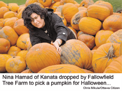 Photo of Nina Hamad of Kanata who dropped by Fallowfield Tree Farm to pick a pumpkin for Halloween (photo credit Chris Mikula/Ottawa Citizen