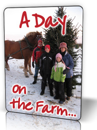 A happy family has just picked and cut their favorite Christmas tree at Fallowfield Tree Farm - Stittsville, Ontario - 613.720.3451