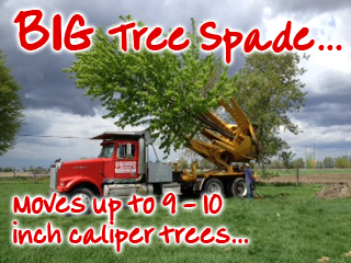 Our BIG, new tree spade lets us move your really BIG trees - Fallowfield Tree Farm
