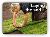 Photo of a man laying out rolls of green, healthy sod - from Fallowfiled Tree Farm
