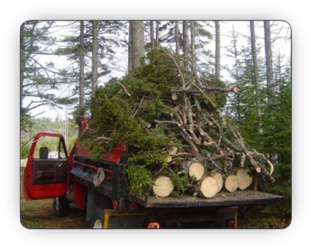 Photo of a flat bed truck loading with logs from a tree the Fallowfield Tree Farm experts have just removed