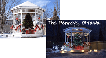 Daylight and nighttime shot of the same tree in the Penney's backyard gazebo from Fallowfield Tree Farm