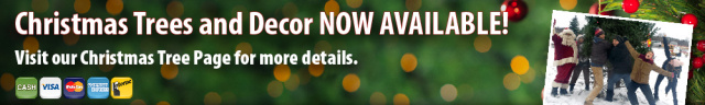 Christmas Trees and Decor Available now.